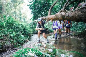 BIB: 
                            <button type="button" onclick="openModal(25455163)" class="btn btn-primary btn-sm float-right btn-popup" data-toggle="modal" data-target=".modal-high-quality">
                        <i class="fas fa-shopping-cart"></i> Add to Cart
                    </button>
                                            <button type="button" onclick="isThisMe(25455163, true)" class="btn btn-success btn-sm float-right btn-popup btn-isme hidden" data-toggle="tooltip" data-placement="bottom" title="นี่คือรูปของคุณใช่ไหม คลิกที่นี่เพื่อเอาเข้าอัลบั้ม">
                        <i class="fas fa-plus"></i> Add to album
                    </button>
                    <button type="button" onclick="isThisMe(25455163, false)" class="btn btn-warning btn-sm float-right btn-popup btn-isnotme hidden">
                        <i class="fas fa-ban"></i> Remove from album
                    </button>